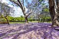 Property photo of 402/5 Sterling Circuit Camperdown NSW 2050