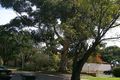 Property photo of 15 Mount Street Claremont WA 6010
