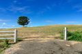 Property photo of 477 Roadvale Harrisville Road Anthony QLD 4310