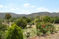 Property photo of 51 Tresize Street Eldorado VIC 3746