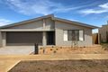 Property photo of 46 Cockle Crescent Point Lonsdale VIC 3225