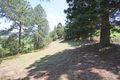 Property photo of 219 Hulls Road Crabbes Creek NSW 2483