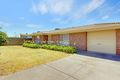 Property photo of 52 Innes Road Windsor Gardens SA 5087