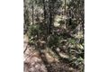 Property photo of 134 Bluegum Drive Wonglepong QLD 4275