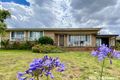 Property photo of 45 Hills Street Young NSW 2594