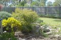 Property photo of 19 Gawain Drive Ormeau QLD 4208