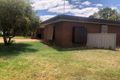 Property photo of 1 Carolyn Court Robinvale VIC 3549