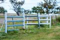 Property photo of 12972 Oxley Highway Goolhi NSW 2379