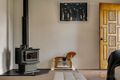 Property photo of 22 Cabarita Crescent Glenvale QLD 4350