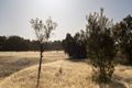 Property photo of 252 Ellenbrook Road Bullsbrook WA 6084