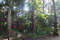 Property photo of 11 Mimosa Road Springbrook QLD 4213