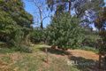 Property photo of 19 Clematis Park Road Emerald VIC 3782