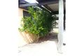 Property photo of 3/87 Bundilla Boulevard Mountain Creek QLD 4557