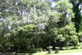 Property photo of 7 Quarter Sessions Road Westleigh NSW 2120