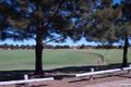 Property photo of 44 Gascoyne Way Cooloongup WA 6168