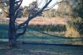 Property photo of 10 Whitehall Road Hazelmere WA 6055