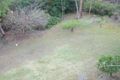 Property photo of 51 Mills Avenue Asquith NSW 2077