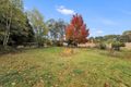 Property photo of 64 Boggamilla Road Batlow NSW 2730