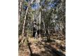 Property photo of 134 Bluegum Drive Wonglepong QLD 4275