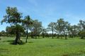 Property photo of 23 Coral Reef Court Armstrong Beach QLD 4737