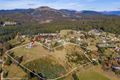 Property photo of 1 Albert Street Branxholm TAS 7261