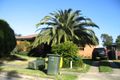 Property photo of 44 Abercrombie Avenue Seven Hills NSW 2147