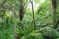 Property photo of 52A-58A Sunnyside Road Glen Osmond SA 5064
