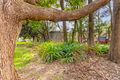 Property photo of 66 Griffin Road Dee Why NSW 2099