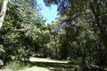 Property photo of 828 Tallebudgera Creek Road Tallebudgera Valley QLD 4228