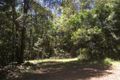 Property photo of 828 Tallebudgera Creek Road Tallebudgera Valley QLD 4228