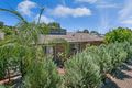 Property photo of 10/3 Sycamore Terrace Campbelltown SA 5074