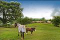 Property photo of 60 Gladrose Crescent Wongawallan QLD 4210