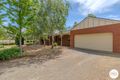 Property photo of 169 Euston Avenue Irymple VIC 3498