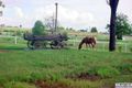 Property photo of 276 Ipswich-Boonah Road Purga QLD 4306