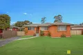 Property photo of 8 Chestnut Crescent Bidwill NSW 2770
