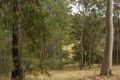 Property photo of 12 Arunta Drive Mount Nathan QLD 4211