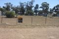Property photo of 4046 Bribbaree Road Bribbaree NSW 2594