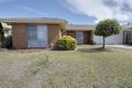Property photo of 7 Cottswold Avenue Narre Warren VIC 3805