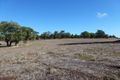 Property photo of 116 Citron Way Lower Chittering WA 6084