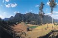 Property photo of 404 Mudfords Lane Lansdowne NSW 2430