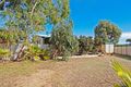 Property photo of 4 Morrison Place Leeman WA 6514
