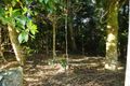 Property photo of 34 Dalmacia Drive Wollongbar NSW 2477