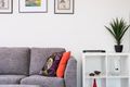 Property photo of 10 Chelsea Court Modbury Heights SA 5092