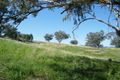 Property photo of 390 Spains Lane Quirindi NSW 2343