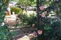 Property photo of 19 Clifton Road Jamestown SA 5491