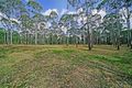 Property photo of 12 Paperbark Place Bargo NSW 2574