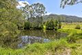 Property photo of 238 Mighell Road Yarrahapinni NSW 2441