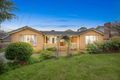 Property photo of 481 Waverley Road Mount Waverley VIC 3149