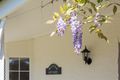 Property photo of 7 Joseph Place Ormiston QLD 4160