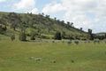 Property photo of 314 Joseph Lane Amphitheatre VIC 3468